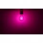 Ampoule LED FIL COB BULB E27 2W ROSE